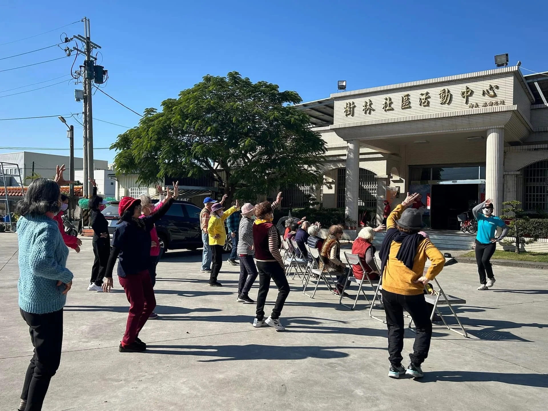 11402 樹林1
