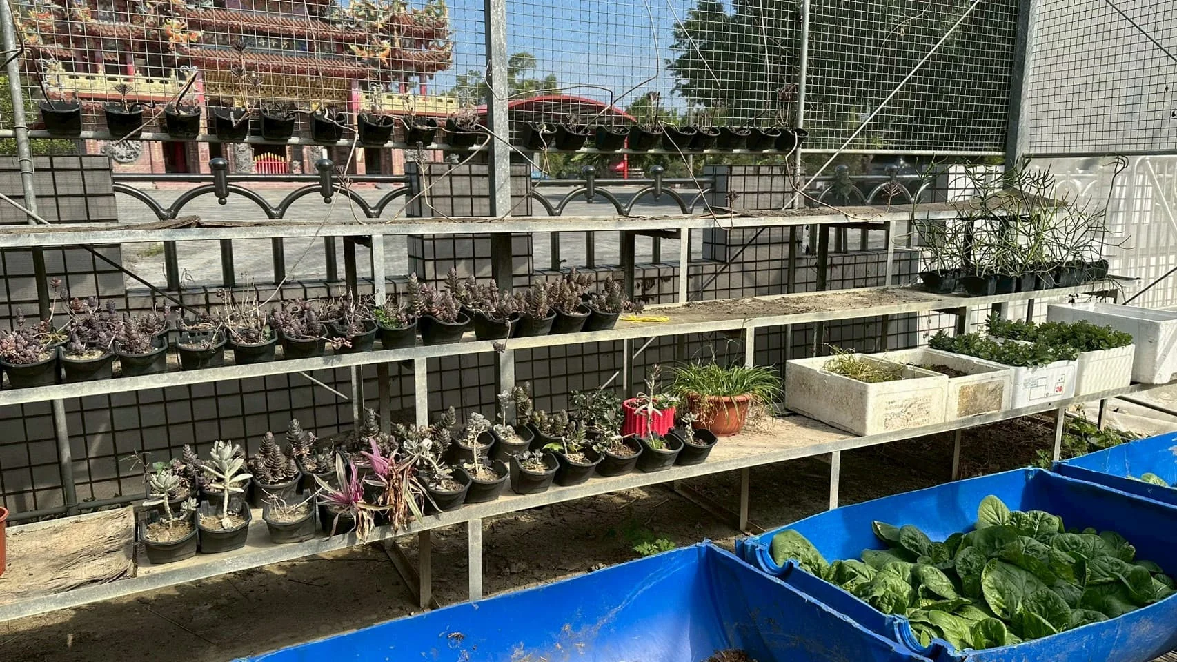 田寮參訪 21